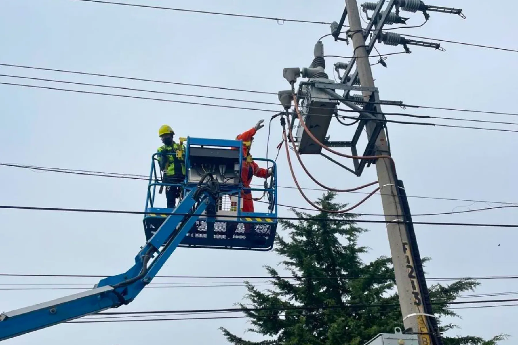 Dos linieros de iT Power Systems en canastilla dando mantenimiento a un restaurador automático montado en un poste de una línea aérea de distribución